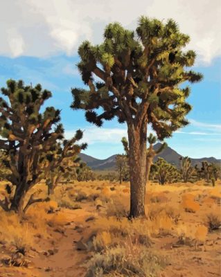 Aesthetic Joshua Tree National Forest paint by number