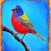 Aesthetic Painted Bunting Art paint by number