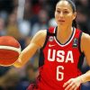 Aesthetic United States Women's National Basketball Player Paint by number