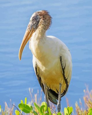 Aesthetic Wood Stork paint by number