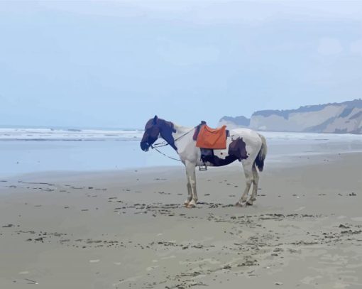 Alone Horse On Beach paint by number