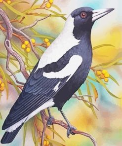 Australian Magpie Art paint by number