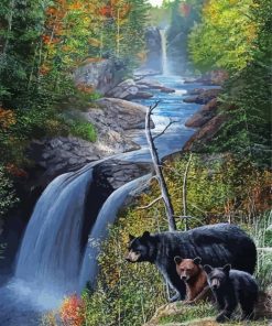 Black Bear Waterfall Landscape paint by number