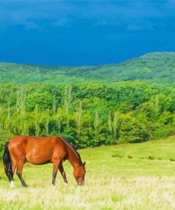 Brown Mare Horse In Nature Paint by number
