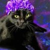 Black Cat And Purple Flowers paint by number