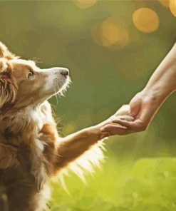 Blonde Border Collie Holding Human Hand Paint by number