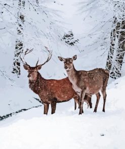 Deers In Snow paint by number