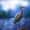 Grey Heron On Branch Art paint by number