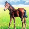 Horse Foal Art paint by number