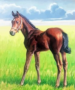 Horse Foal Art paint by number