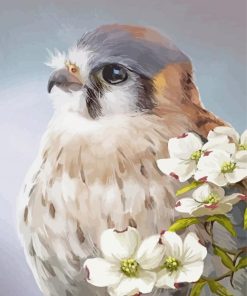 Kestrel Bird Art paint by number