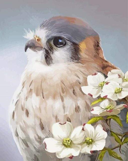 Kestrel Bird Art paint by number