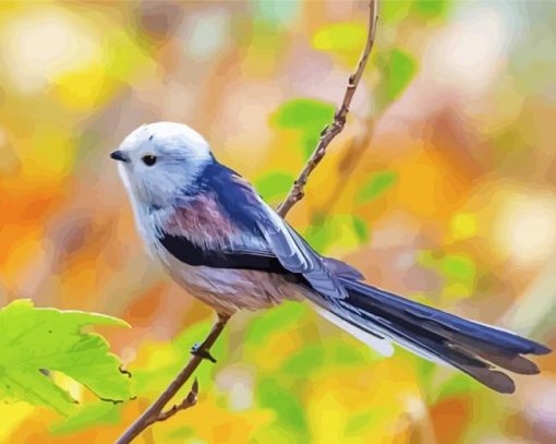 Long Tailed Tit Bird On A Branch paint by number