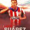 Luis Suarez Poster paint by number