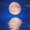Moon Over Ocean paint by number