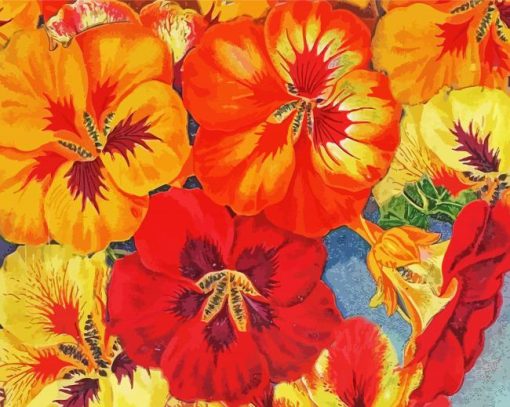 Nasturtium Flowers Art paint by number