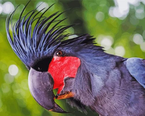 Palm Cockatoo Bird Head Paint by number