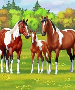 Ranch And Horses Animals Art Paint by number