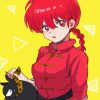 Ranma Art paint by number