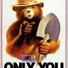 Smokey Bear Poster paint by number