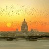 St Petersburg Russia Sunset paint by number