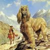 The Afghan Hound Dog paint by number