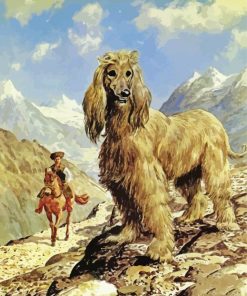 The Afghan Hound Dog paint by number