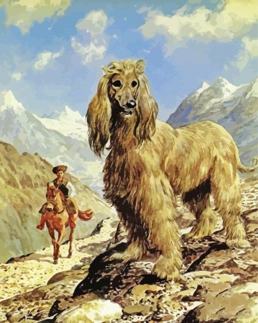 The Afghan Hound Dog paint by number