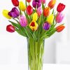 Tulip Colorful Flower Vase paint by number