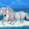 White Horses On The Beach paint by number