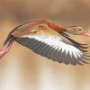 Whistling Duck Bird Flying Paint by number