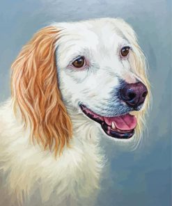 White And Golden Retriever Dog paint by number