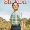 Young Sheldon Poster paint by number