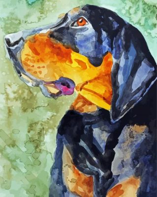 Aesthetic Black And Tan Coonhound paint by number