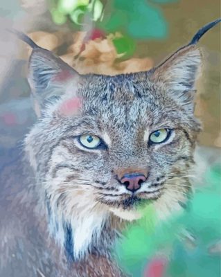 Aesthetic Canada Lynx Animal paint by number