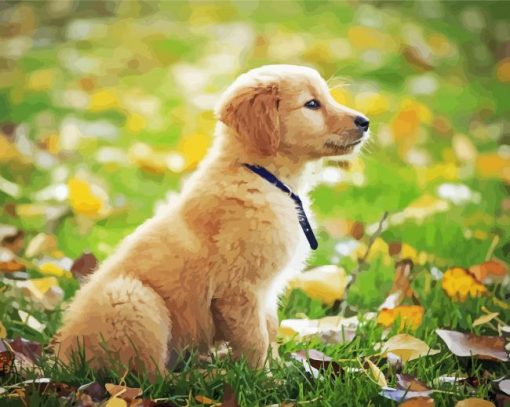 Aesthetic Golden Puppy Paint by number