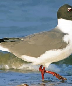 Aesthetic Laughing Gull Bird paint by number