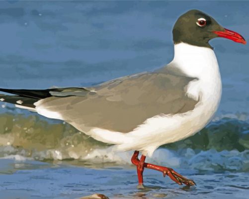 Aesthetic Laughing Gull Bird paint by number