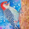 Aesthetic Red Bellied Woodpecker Art paint by number