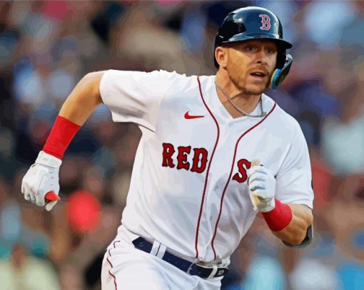 Aesthetic Boston Red Sox Player paint by number