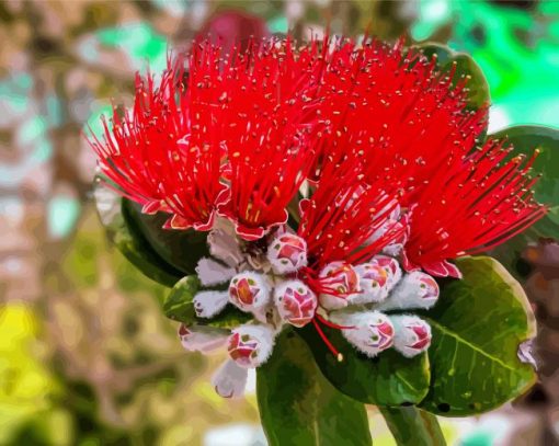 Aesthetic Red Pohutukawa Flower paint by number