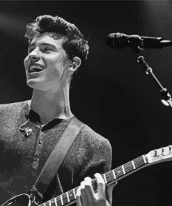 Black And White Shawn Mendes Playing Guitar paint by number