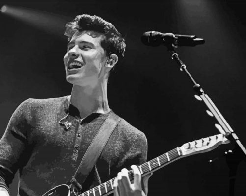 Black And White Shawn Mendes Playing Guitar paint by number