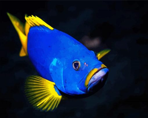 Blue Yellow Grouper Fish paint by number