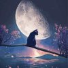 Cat And Moon paint by number