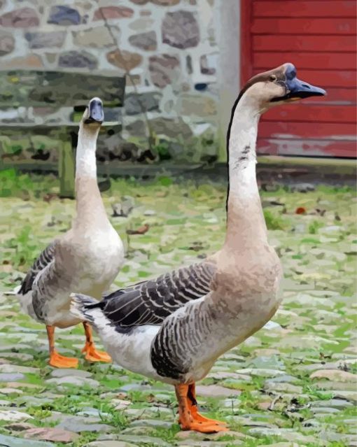 Chinese Geese In The Garden paint by number