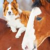 Cute Horse And Dog paint by number