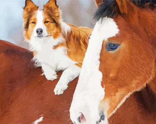 Cute Horse And Dog paint by number