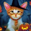 Halloween Cat Witch Art Paint by number