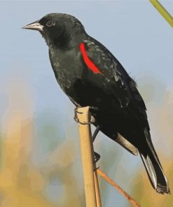 Lonely Red Winged Blackbird paint by number